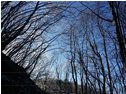  Disgelo - Savignone - 2020 - Landscapes - Winter - Voto: Non  - Last Visit: 13/12/2023 15.37.11 