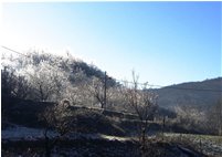  Effetti della tempesta di Santa Lucia - Savignone - 2020 - Landscapes - Winter - Voto: Non  - Last Visit: 29/9/2023 20.46.2 