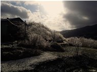  Effetti della tempesta di Santa Lucia - Savignone - 2020 - Landscapes - Winter - Voto: Non  - Last Visit: 28/9/2023 16.50.32 