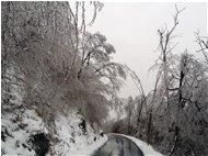  Gelicidio - Savignone - 2019 - Landscapes - Winter - Voto: Non  - Last Visit: 30/1/2024 14.14.52 