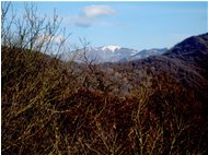  Il Monte Buio visto dalla Cappelletta del Pianetto - Savignone - 2016 - Landscapes - Winter - Voto: Non  - Last Visit: 26/9/2023 14.17.9 