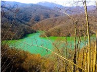  Il lago Busalletta finalmente colmo dopo le piogge di fine  inverno - Savignone - 2016 - Landscapes - Winter - Voto: Non  - Last Visit: 1/11/2023 16.37.58 