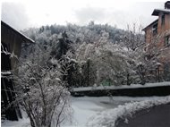  Inverno al Prelo - Savignone - 2019 - Landscapes - Winter - Voto: Non  - Last Visit: 26/9/2023 14.18.42 