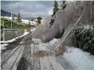  La gelata del 22 dicembre - Savignone - 2010 - Landscapes - Winter - Voto: Non  - Last Visit: 28/9/2023 6.29.58 