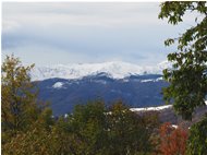  La prima neve - Savignone - 2020 - Landscapes - Winter - Voto: Non  - Last Visit: 27/9/2023 17.8.34 