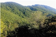  La verde conca di Piambertone; in fondo il Monte Maggio - Savignone - 2015 - Landscapes - Summer - Voto: Non  - Last Visit: 13/4/2024 20.30.57 