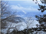  Monte Alpesisa con nebbie e neve - Savignone - 2010 - Landscapes - Winter - Voto: Non  - Last Visit: 26/9/2023 12.13.49 