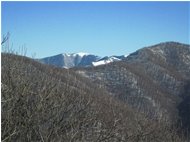 Monte Buio visto dal monte Pianetto - Savignone - 2010 - Landscapes - Winter - Voto: Non  - Last Visit: 25/9/2023 1.14.32 