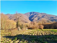  Monte Maggio, versante ovest - Savignone - 2023 - Landscapes - Winter - Voto: Non  - Last Visit: 19/4/2025 11.19.57 