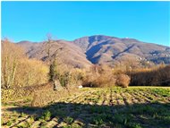  Monte Maggio, versante ovest - Savignone - 2023 - Landscapes - Winter - Voto: Non  - Last Visit: 13/4/2024 19.2.29 