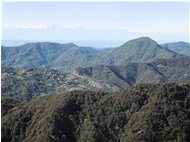  Monte Reale e Monte Rosa - Savignone - 2011 - Landscapes - Summer - Voto: Non  - Last Visit: 25/5/2024 9.16.54 