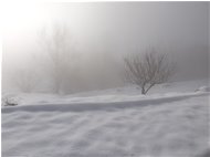  Neve e Nebbia a Montemaggio - Savignone - 2021 - Landscapes - Winter - Voto: Non  - Last Visit: 12/4/2025 13.53.31 
