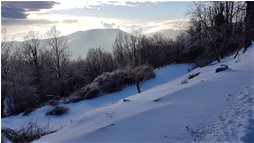  Neve blu - Savignone - 2018 - Landscapes - Winter - Voto: Non  - Last Visit: 27/9/2023 14.40.51 