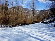  Neve di Marzo: crinale monti Pianetto-Brughea-Carmo - Savignone - 2018 - Landscapes - Winter - Voto: Non  - Last Visit: 26/9/2023 2.56.40 