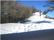  Neve sul monte Pianetto - Savignone - 2010 - Landscapes - Winter - Voto: Non  - Last Visit: 22/1/2024 5.25.51 