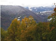  Novembre, la prima neve - Savignone - 2020 - Landscapes - Winter - Voto: Non  - Last Visit: 25/9/2023 2.18.7 