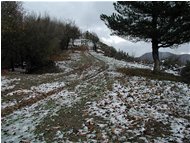  Novembre: si rivede la neve - Savignone - 2005 - Landscapes - Winter - Voto: Non  - Last Visit: 29/4/2024 3.6.31 