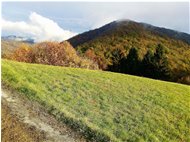  Pendici M. Cappellino: panorama autunnale - Savignone - 2018 - Landscapes - Winter - Voto: Non  - Last Visit: 19/9/2023 21.15.14 