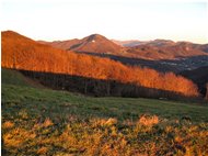  Pendici Monte Cappellino - Savignone - 2010 - Landscapes - Winter - Voto: Non  - Last Visit: 2/12/2023 15.7.30 