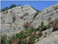  'Puddinga' or 'Conglomerato': typical stone of Valle Scrivia - Savignone - <2001 - Landscapes - Summer - Voto: Non  - Last Visit: 25/9/2023 17.17.50 