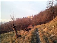  Santuario della Vittoria - Savignone - 2013 - Landscapes - Winter - Voto: Non  - Last Visit: 26/9/2023 16.22.54 
