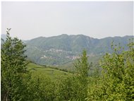  Savignone e Gabbie ai piedi del M. Pianetto - Savignone - 2005 - Landscapes - Summer - Voto: Non  - Last Visit: 30/10/2023 5.6.47 