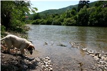  Scrivia River near San Bartolomeo - Savignone - 2005 - Landscapes - Summer - Voto: Non  - Last Visit: 3/3/2024 12.2.26 