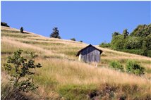  Season changes: july on M. Cappellino - Savignone - 2007 - Landscapes - Summer - Voto: Non  - Last Visit: 12/12/2024 16.41.16 