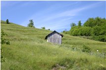  Season changes: may on M. Cappellino - Savignone - 2007 - Landscapes - Summer - Voto: Non  - Last Visit: 12/12/2024 16.41.41 