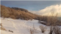  Sole, neve, e nebbie all'arrembaggio - Savignone - 2018 - Landscapes - Winter - Voto: Non  - Last Visit: 27/12/2021 0.19.35 
