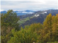  Spolverata di neve sopra a Gualdrà - Savignone - 2020 - Landscapes - Winter - Voto: Non  - Last Visit: 13/12/2023 10.25.41 