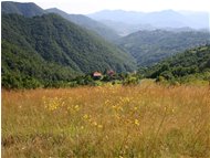  Summer meadow in Fontanini hamlet - Savignone - 2005 - Landscapes - Summer - Voto: Non  - Last Visit: 20/9/2023 1.18.46 