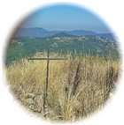  Una croce solitaria nel bosco dietro al Pianetto - Savignone - 2015 - Landscapes - Summer - Voto: Non  - Last Visit: 13/4/2024 20.31.23 