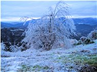  Veduta invernale sulla Valpolcevera - Savignone - 2011 - Landscapes - Winter - Voto: Non  - Last Visit: 4/10/2023 12.54.28 