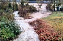  Contributo del ruscello Ramà alla piena del fiume Scrivia - Savignone - 2011 - Other - Winter - Voto: Non  - Last Visit: 25/5/2024 9.16.44 