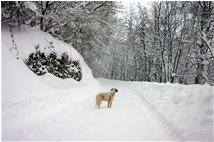  Hot 2007.. some snow from 2006! - Savignone - 2006 - Other - Winter - Voto: Non  - Last Visit: 19/4/2025 17.59.43 