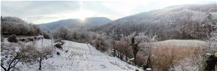  Capodanno con neve e ghiaccio a Ponte di Savignone - Savignone - 2006 - Paesi - Inverno - Voto: 10   - Last Visit: 22/9/2023 17.9.15 