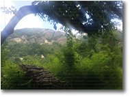 Fotografie Savignone - Paesi - Castello e Monte Pianetto