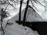  Cumuli di neve - Savignone - 2005 - Paesi - Inverno - Voto: Non  - Last Visit: 28/9/2023 12.30.58 