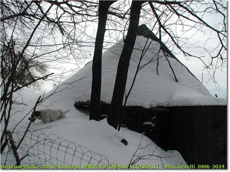 Cumuli di neve - Savignone - 2005 - Paesi - Inverno - Olympus Camedia 3000