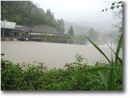 Fotografie Savignone - Paesi - Scrivia River, 4-5-2002