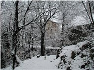  La casa nel bosco dopo una nevicata - Savignone - 2004 - Paesi - Inverno - Voto: 1    - Last Visit: 22/9/2023 13.56.17 