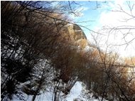  Neve di Maro: nella valle del Rio Magggione - Savignone - 2018 - Paesi - Inverno - Voto: Non  - Last Visit: 13/4/2022 14.42.0 