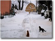 Foto Savignone - Paesi - Neve di primavera alla Vittoria