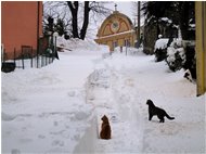  Neve di primavera alla Vittoria - Savignone - 2013 - Paesi - Inverno - Voto: Non  - Last Visit: 21/5/2022 13.46.25 