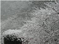  Neve novembrina a ponte di Savignone - Savignone - 2006 - Paesi - Inverno - Voto: 9    - Last Visit: 11/11/2022 0.23.28 