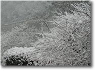 Fotografie Savignone - Paesi - Neve novembrina a ponte di Savignone