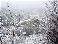 Nevicata al Prelo - Savignone - 2019 - Paesi - Inverno - Voto: Non  - Last Visit: 9/11/2022 20.42.7 