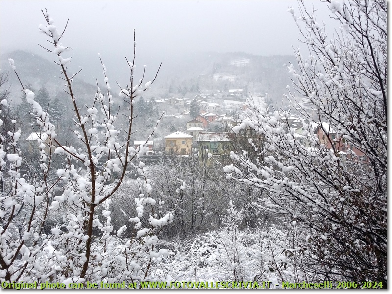 Nevicata al Prelo - Savignone - 2019 - Paesi - Inverno - HTC One S Nokia C7-00 (o altro cell)