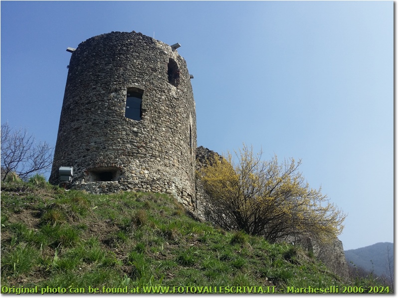 Primi accenni di primavera al Castello Fieschi - Savignone - 2018 - Paesi - Inverno - Canon Ixus 980 IS